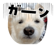 878670154