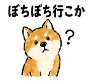 878670167