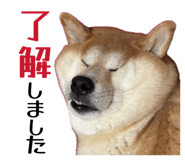 878672585