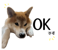 878672587