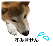878672588