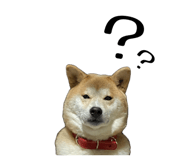 878672589