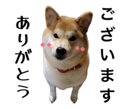 878672592