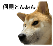 878672595