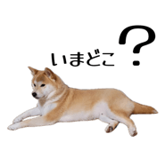 878672599