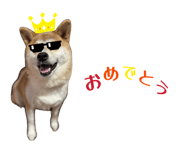 878672601