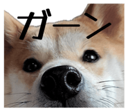 878672602