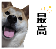 878672603
