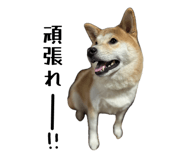 878672604