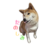 878672605