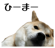 878672606
