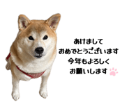 878672607