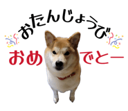 878672608