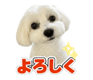 878672700