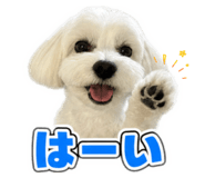 878672702