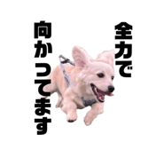 878672722