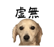 878672725
