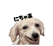 878672734