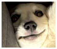 878672738
