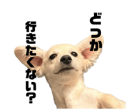 878672744