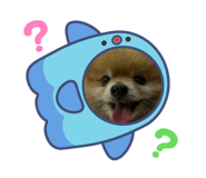 878683068