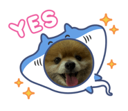 878683070