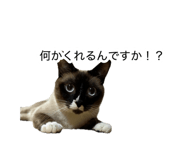 878706954