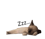 878706956