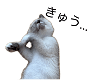 878706968