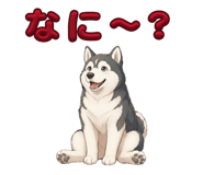 878706984
