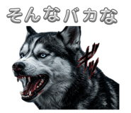 878706987
