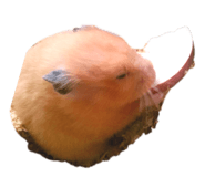 878708000