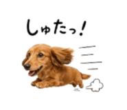 878722766