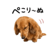 878722770
