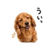 878722781