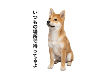 878729597