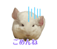 878730155