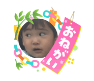 878736685