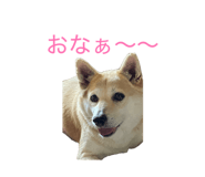 878737057