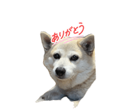 878737058