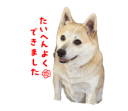 878737061
