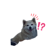 878737063