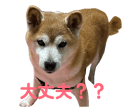 878739096