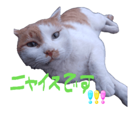 878739144