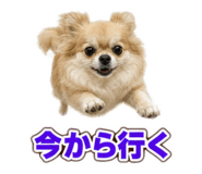878760900