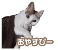 878763513