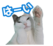 878763514