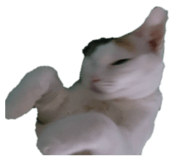878763520