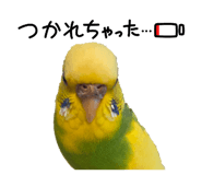 878764040