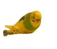 878764046